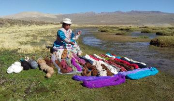 Au Pérou, les «semeuses d’eau» s’organisent 1